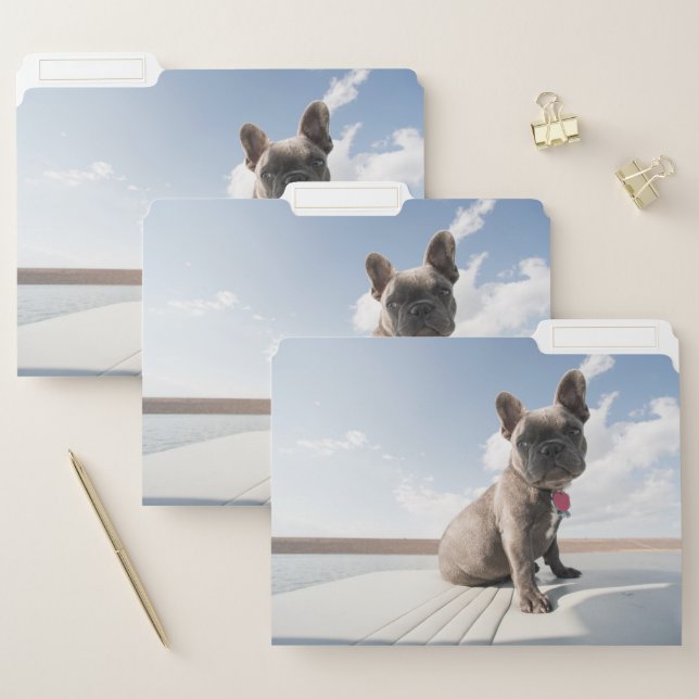 Cutest Baby Animals | French Bulldog Boating File Folder (Set)
