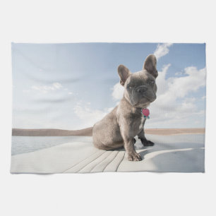 Cutest Baby Animals   French Bulldog Boating Kitchen Towel