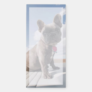 Cutest Baby Animals   French Bulldog Boating Magnetic Notepad