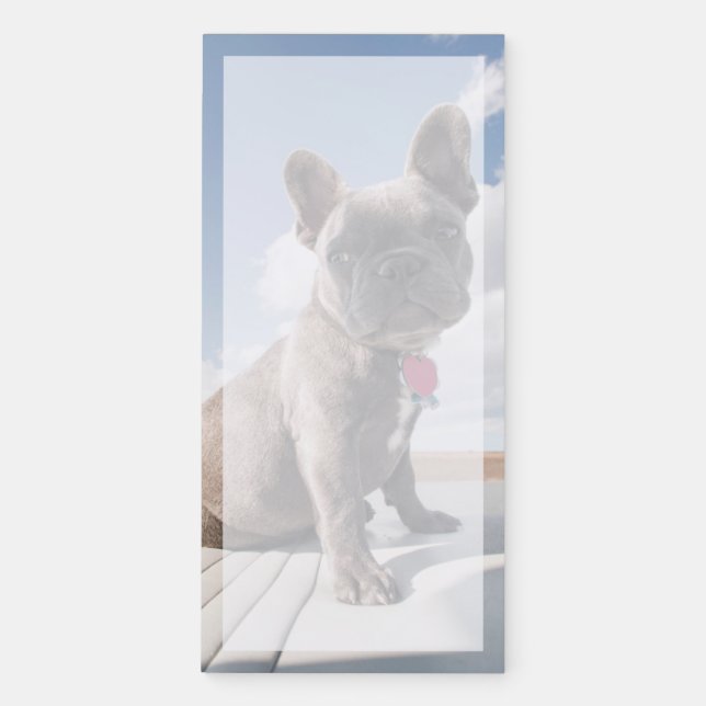Cutest Baby Animals | French Bulldog Boating Magnetic Notepad (Front)