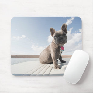 Cutest Baby Animals French Bulldog Boating Mouse Pad