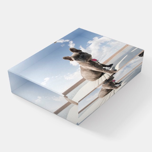 Cutest Baby Animals | French Bulldog Boating Paperweight (Angled)