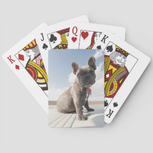 Cutest Baby Animals French Bulldog Boating Poker Cards