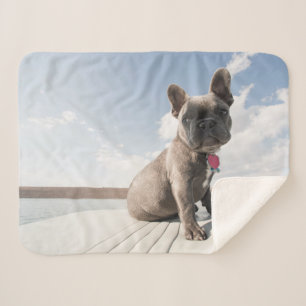 Cutest Baby Animals   French Bulldog Boating Sherpa Blanket