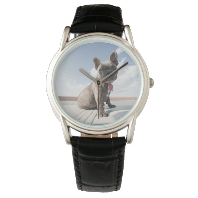 Cutest Baby Animals | French Bulldog Boating Watch (Front)