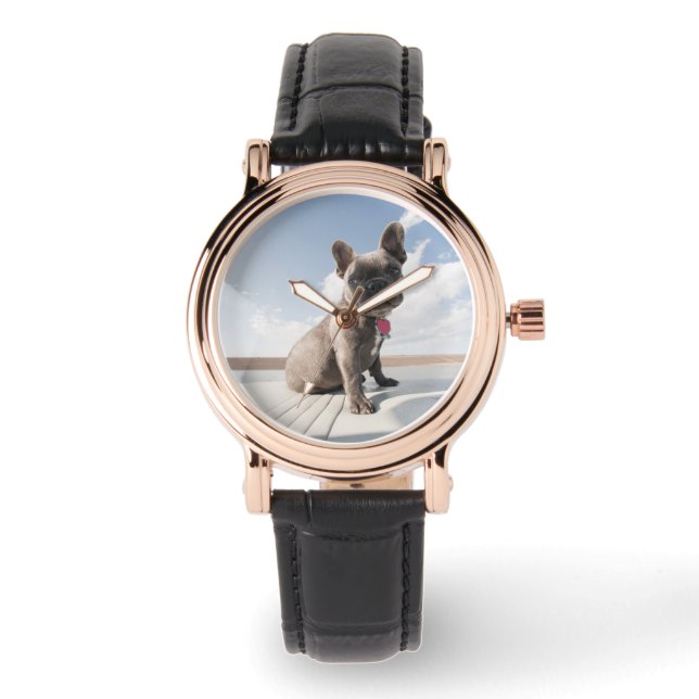 Cutest Baby Animals | French Bulldog Boating Watch (Front)