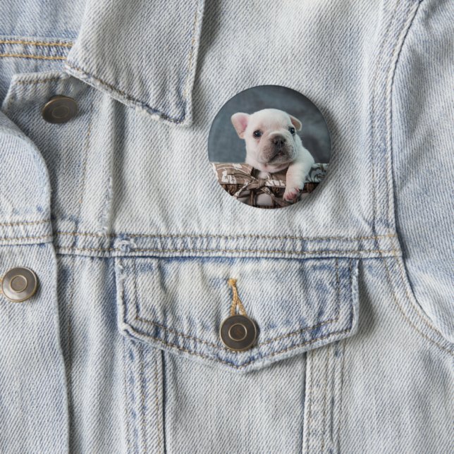 Cutest Baby Animals | French Bulldog Button (In Situ)