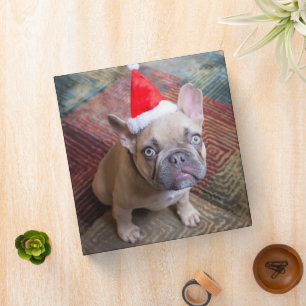 Cutest Baby Animals French Bulldog Christmas 3 Ring Binder
