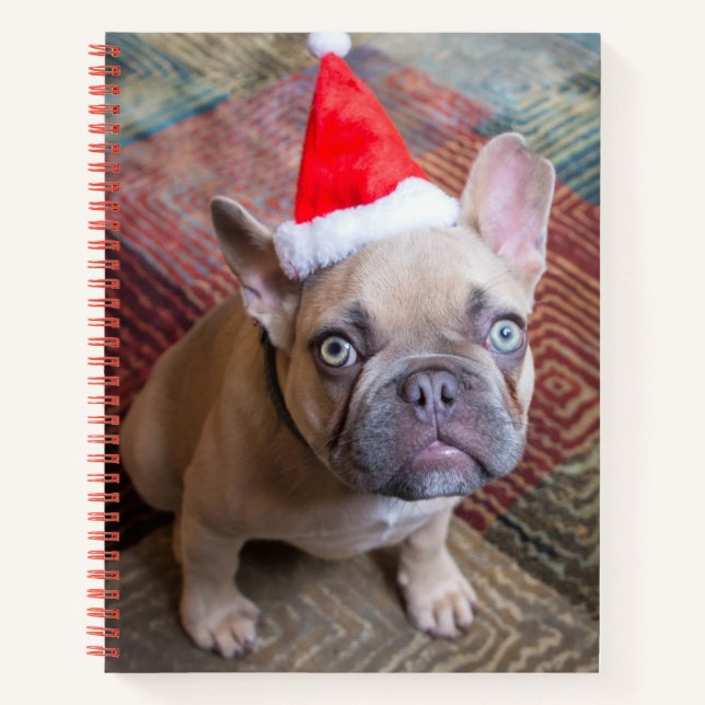 Cutest Baby Animals | French Bulldog Christmas Notebook (Front)