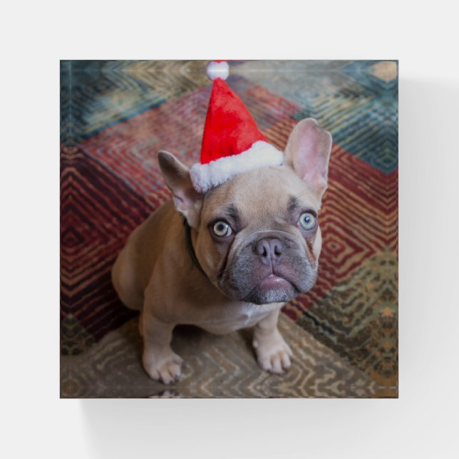 Cutest Baby Animals | French Bulldog Christmas Paperweight (Front)