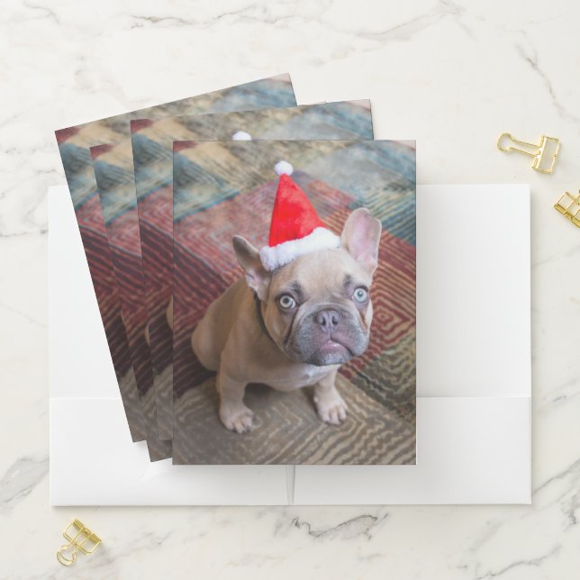 Cutest Baby Animals | French Bulldog Christmas Pocket Folder (In Situ)