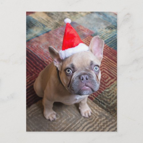 Cutest Baby Animals  French Bulldog Christmas Postcard