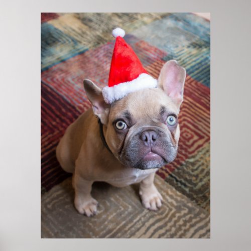 Cutest Baby Animals  French Bulldog Christmas Poster