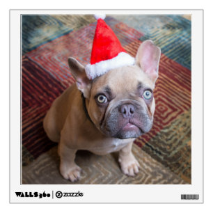 Cutest Baby Animals   French Bulldog Christmas Wall Decal