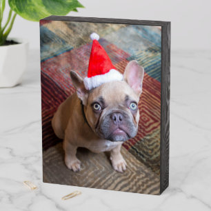 Cutest Baby Animals French Bulldog Christmas Wooden Box Sign