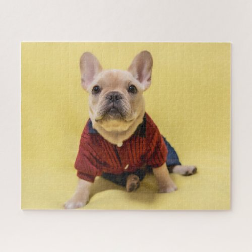 Cutest Baby Animals  French Bulldog Dressed Jigsaw Puzzle