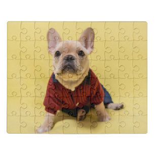 Cutest Baby Animals   French Bulldog Dressed Jigsaw Puzzle