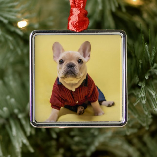 Cutest Baby Animals | French Bulldog Dressed Metal Ornament (Tree)
