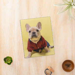 Cutest Baby Animals   French Bulldog Dressed Mini Binder