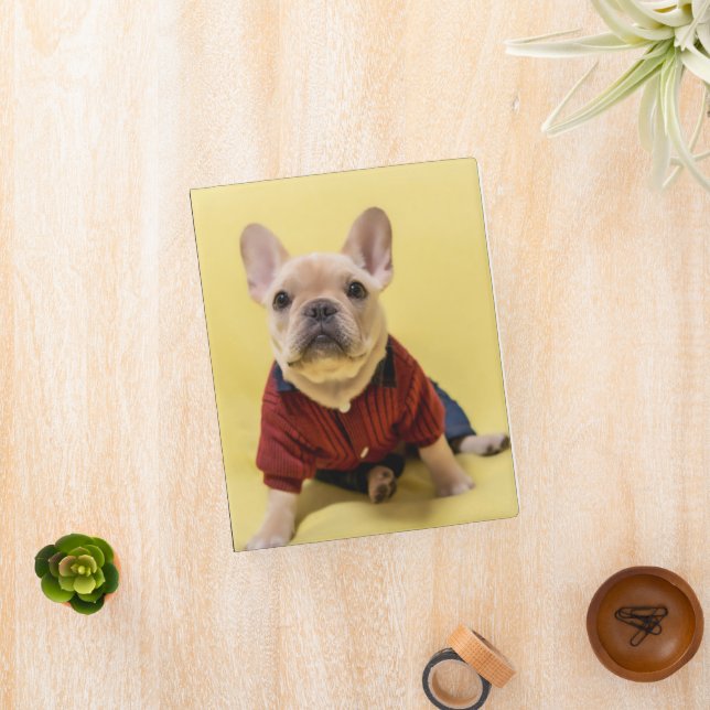 Cutest Baby Animals | French Bulldog Dressed Mini Binder (InSitu)
