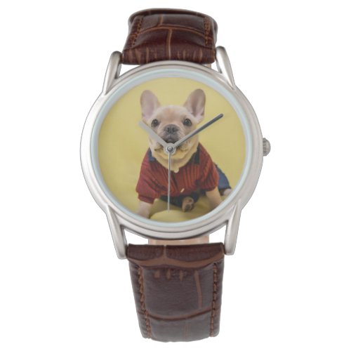 Cutest Baby Animals  French Bulldog Dressed Watch