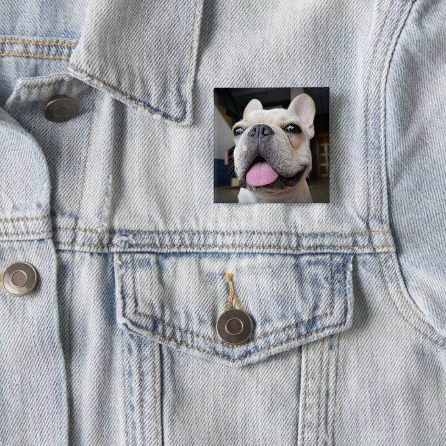 Cutest Baby Animals | French Bulldog Face Button (In Situ)