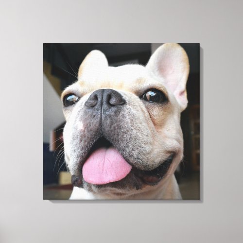 Cutest Baby Animals  French Bulldog Face Canvas Print