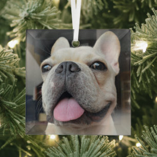 Cutest Baby Animals French Bulldog Face Glass Ornament