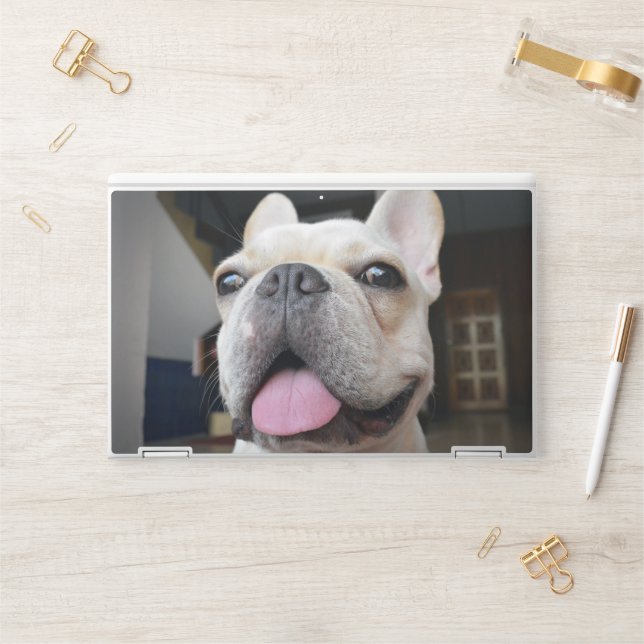 Cutest Baby Animals | French Bulldog Face HP Laptop Skin (Desk)