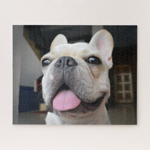 Cutest Baby Animals   French Bulldog Face Jigsaw Puzzle