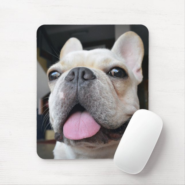 Cutest Baby Animals | French Bulldog Face Mouse Pad (With Mouse)