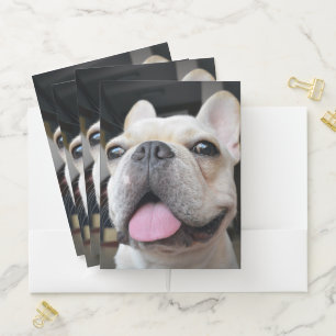 Cutest Baby Animals   French Bulldog Face Pocket Folder