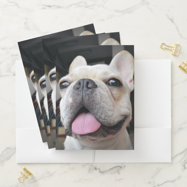 Cutest Baby Animals | French Bulldog Face Pocket Folder (In Situ)