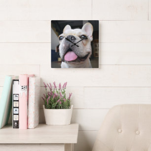 Cutest Baby Animals French Bulldog Face Square Wall Clock