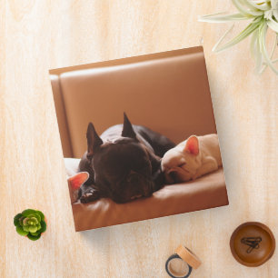 Cutest Baby Animals   French Bulldog Family 3 Ring Binder