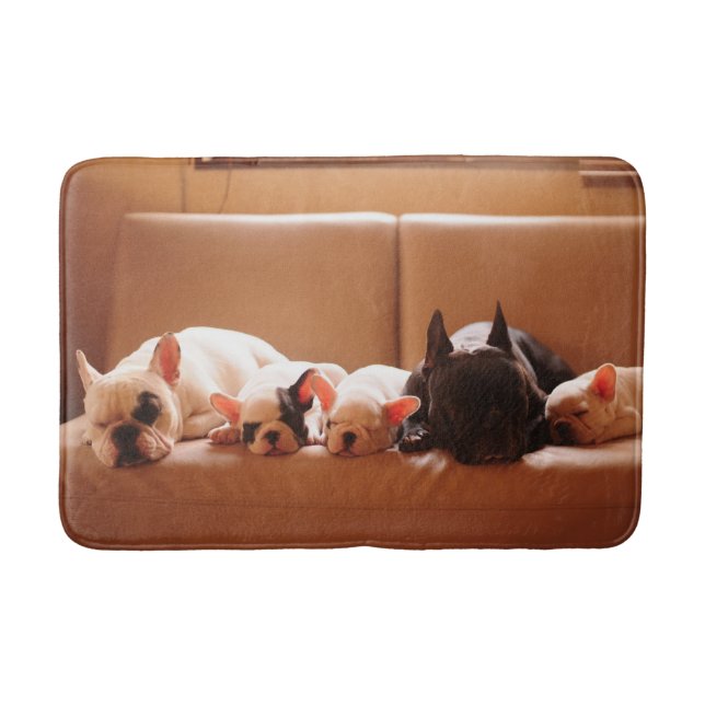 Cutest Baby Animals | French Bulldog Family Bath Mat (Front)