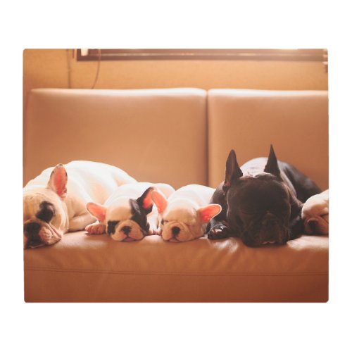 Cutest Baby Animals  French Bulldog Family Metal Print