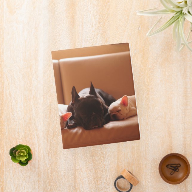 Cutest Baby Animals | French Bulldog Family Mini Binder (InSitu)