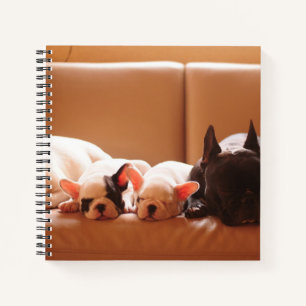 Cutest Baby Animals   French Bulldog Family Notebook