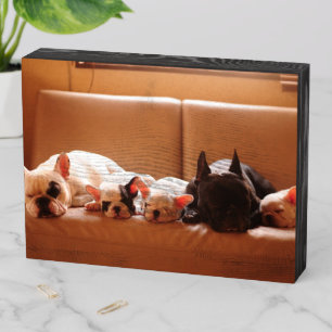 Cutest Baby Animals   French Bulldog Family Wooden Box Sign