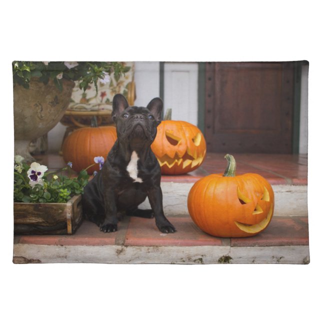 Cutest Baby Animals | French Bulldog Halloween Cloth Placemat (Front)