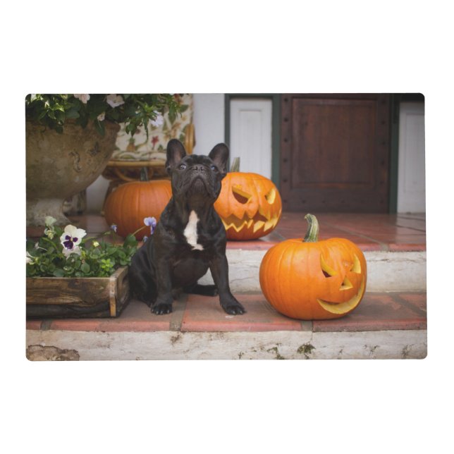 Cutest Baby Animals | French Bulldog Halloween Placemat (Front)