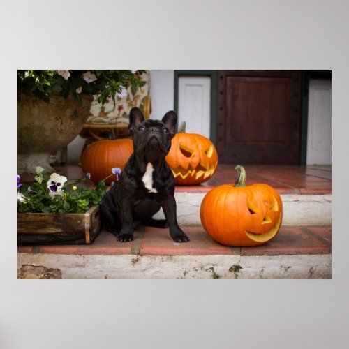 Cutest Baby Animals  French Bulldog Halloween Poster