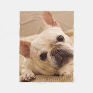 Cutest Baby Animals French Bulldog Head Tilt Fleece Blanket