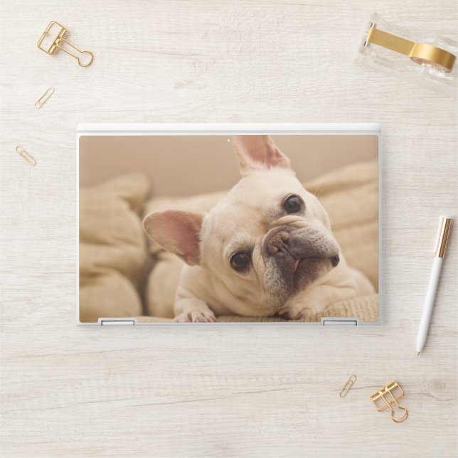 Cutest Baby Animals | French Bulldog Head Tilt HP Laptop Skin (Desk)