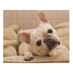 Cutest Baby Animals   French Bulldog Head Tilt Jigsaw Puzzle