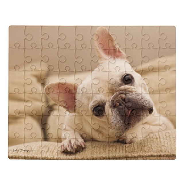 Cutest Baby Animals | French Bulldog Head Tilt Jigsaw Puzzle (Puzzle Horizontal)