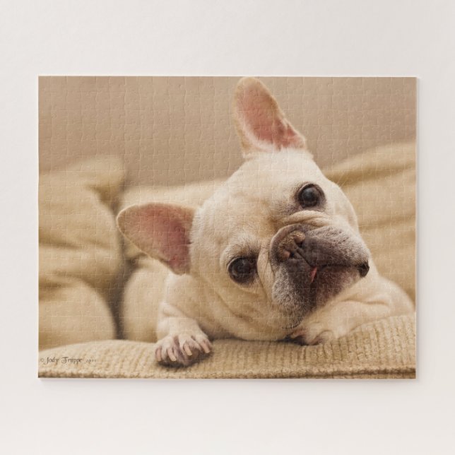 Cutest Baby Animals | French Bulldog Head Tilt Jigsaw Puzzle (Horizontal)