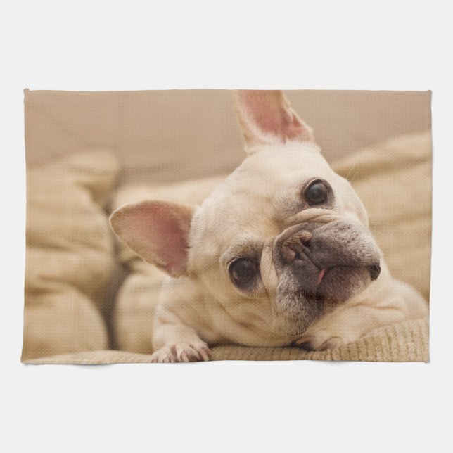 Cutest Baby Animals | French Bulldog Head Tilt Kitchen Towel (Horizontal)