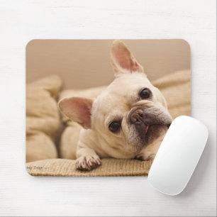 Cutest Baby Animals French Bulldog Head Tilt Mouse Pad